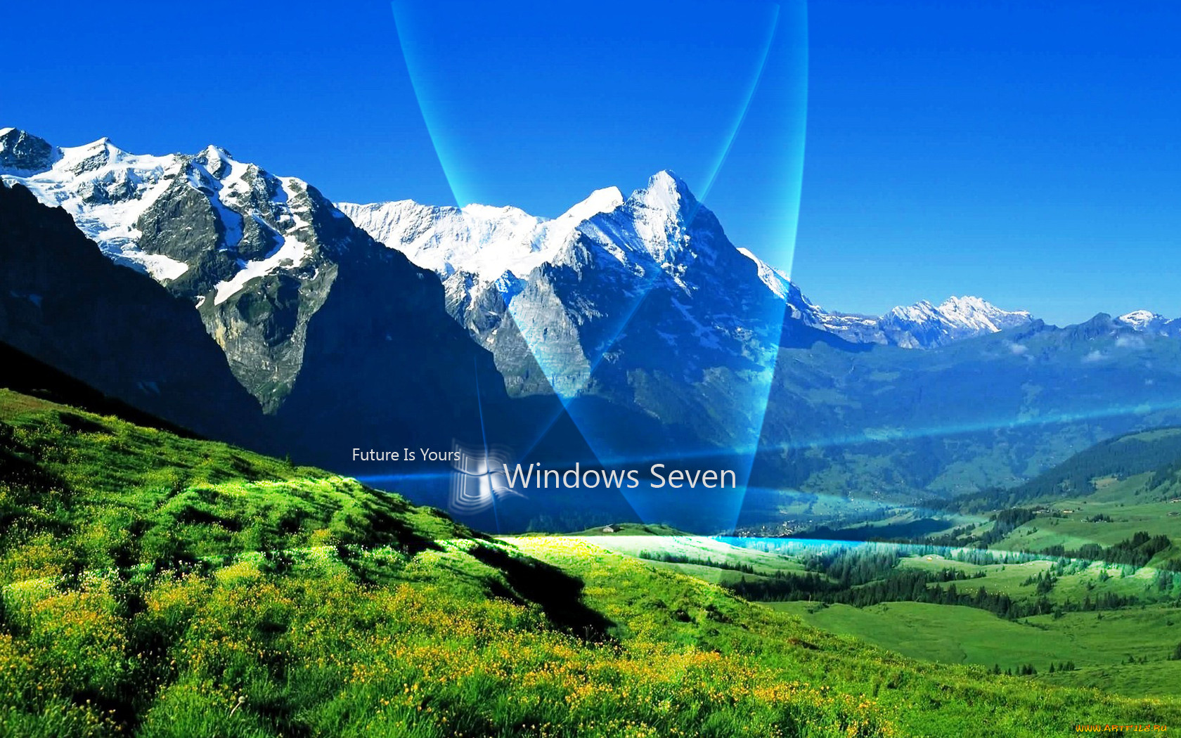 , windows, vienna